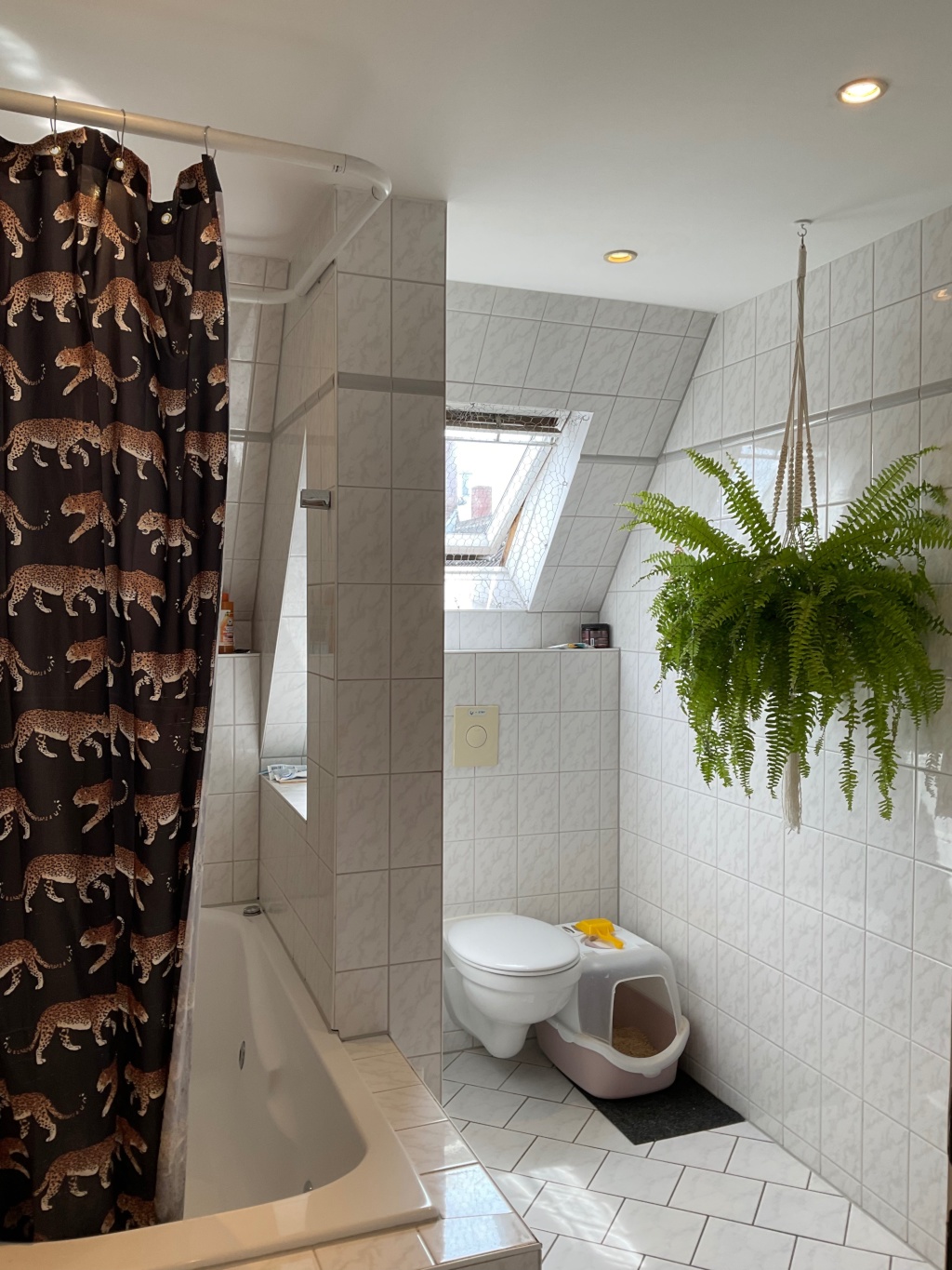 Katzen-Sitter:innen gesucht für hübsche Maisonette-Wohnung in Neukölln vom 26.09. bis 11.10.2026 – Walkenriederstraße, 12347 Berlin Neukölln – Vorschaubild 14
