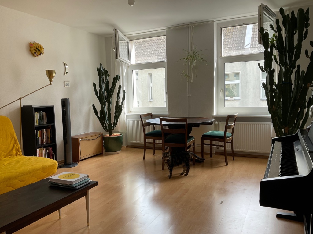 Katzen-Sitter:innen gesucht für hübsche Maisonette-Wohnung in Neukölln vom 26.09. bis 11.10.2026