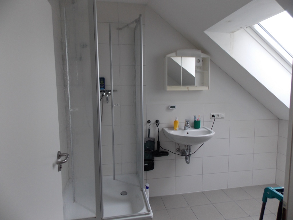 WG-Zimmer Bubenreuth Frankenstraße 80a - Duschbad