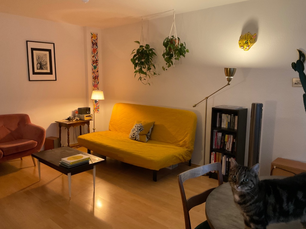 Katzen-Sitter:innen gesucht für hübsche Maisonette-Wohnung in Neukölln vom 26.09. bis 11.10.2026 – Walkenriederstraße, 12347 Berlin Neukölln – Vorschaubild 7