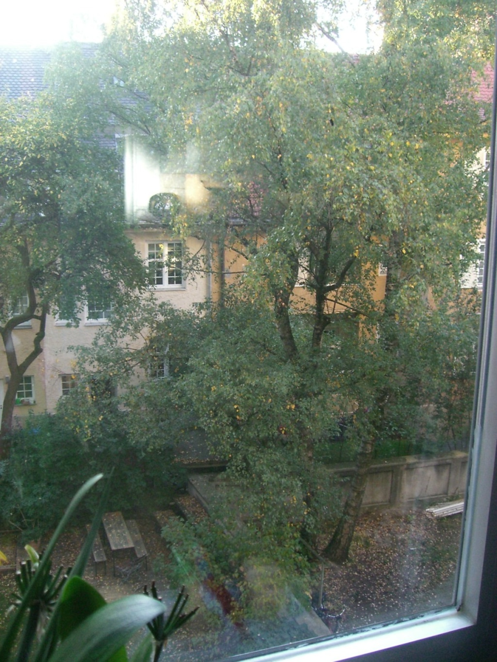 WG-Zimmer Laim Fürstenrieder Str. 14 - Blick in den Garten