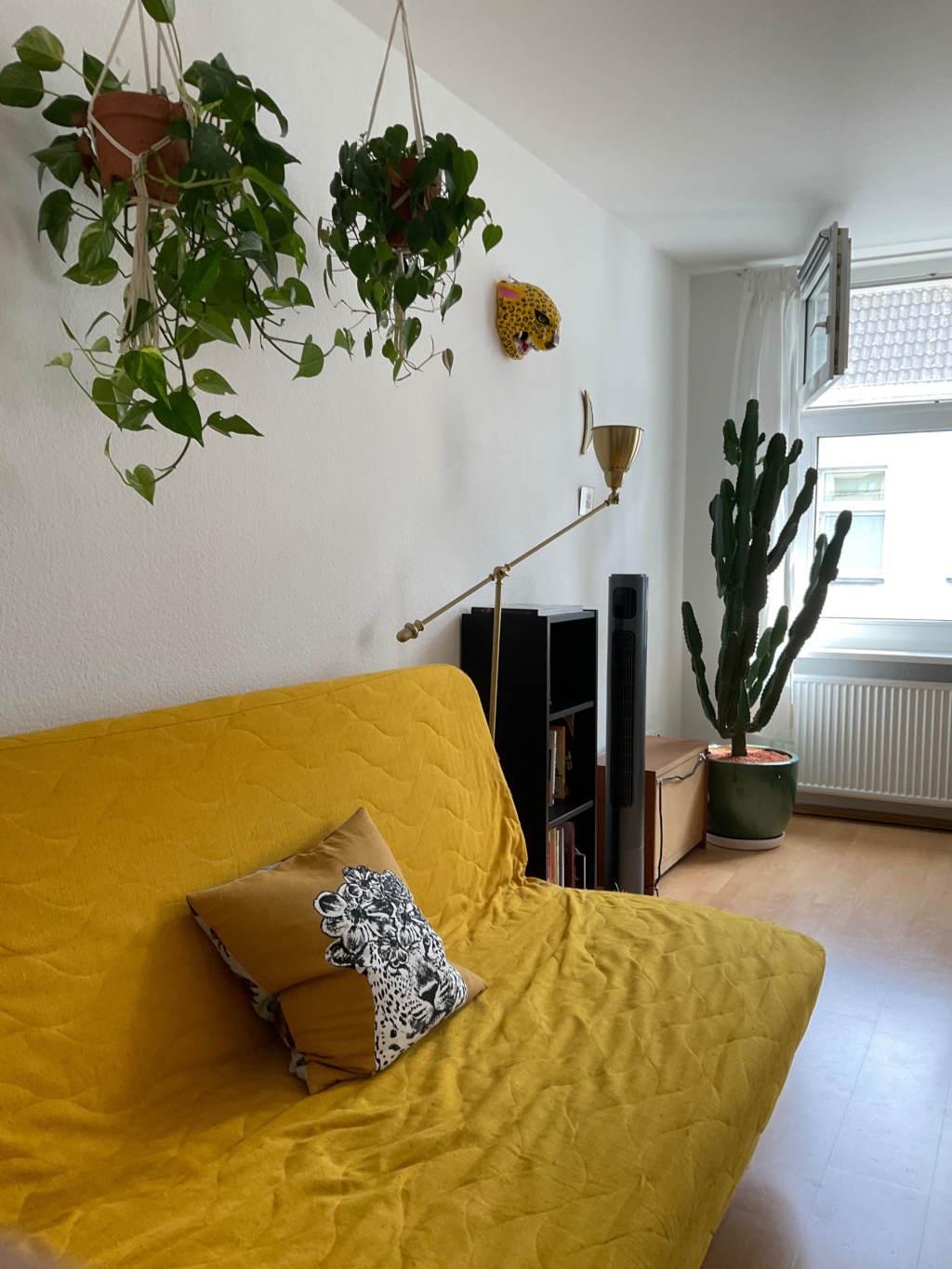 Katzen-Sitter:innen gesucht für hübsche Maisonette-Wohnung in Neukölln vom 26.09. bis 11.10.2026 – Walkenriederstraße, 12347 Berlin Neukölln – Vorschaubild 5