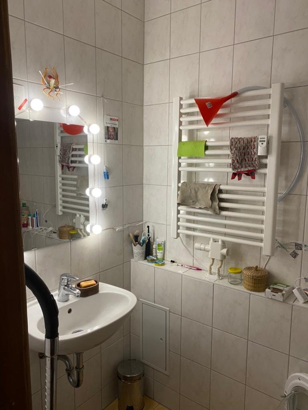 Flatshare Südliche Innenstadt Beesener Straße 249 - picture 17