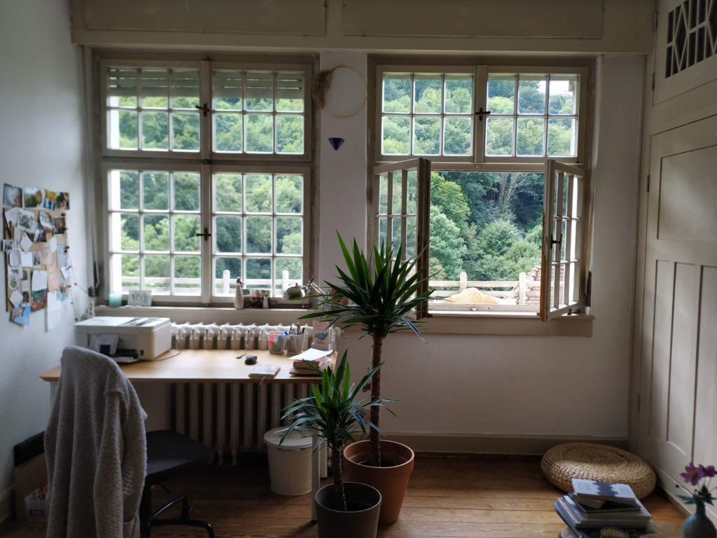 Flatshare Altstadt Klingenteichstr. - picture 3