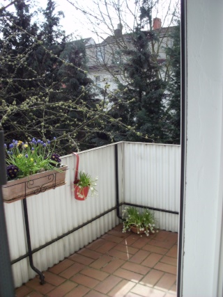 Anzeigenbild: gemütliche 2 Zimmer Wohnung mit Balkon
