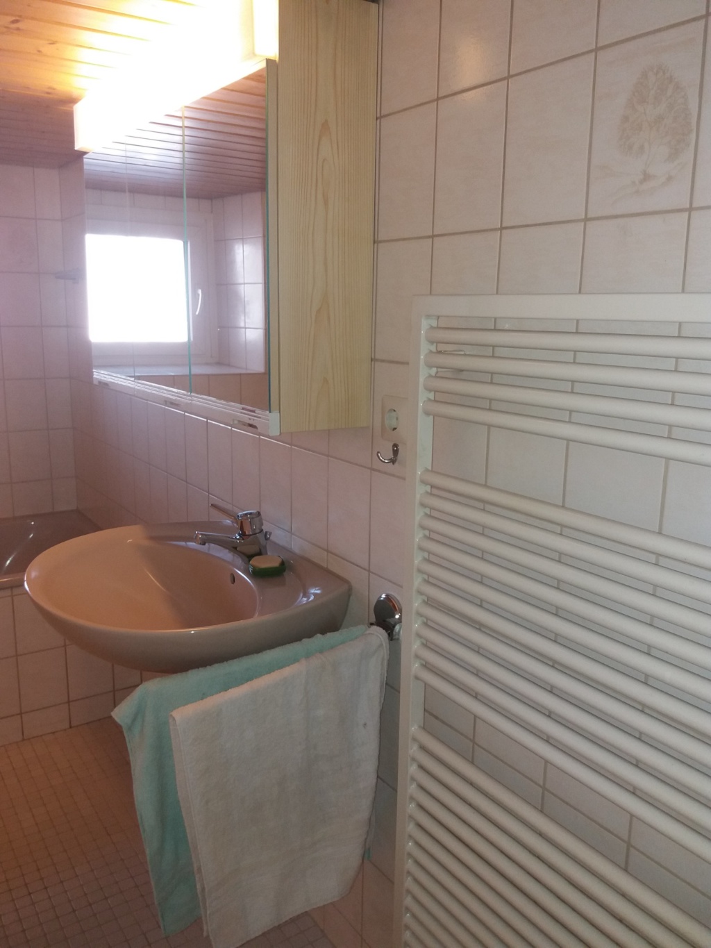 Flatshare 79224 Umkirch Zentral - OG Bad