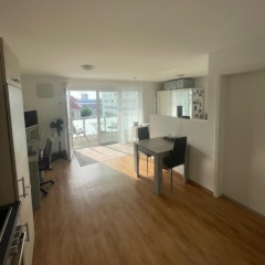 Anzeigenbild: Neubau 1-Zimmer Wohnung, voll ausgestattet mit großem Balkon