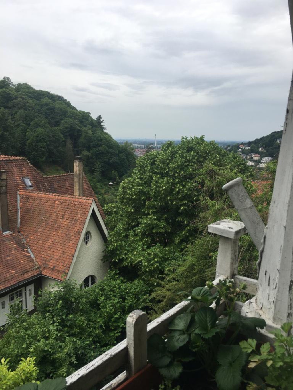 Flatshare Altstadt Klingenteichstr. - Ausblick aus dem Fenster