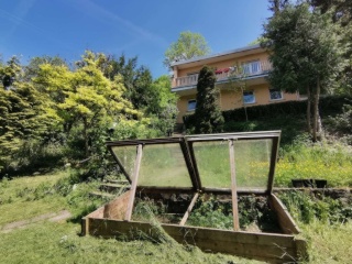 Ad image: Haus- Wg im Grünen