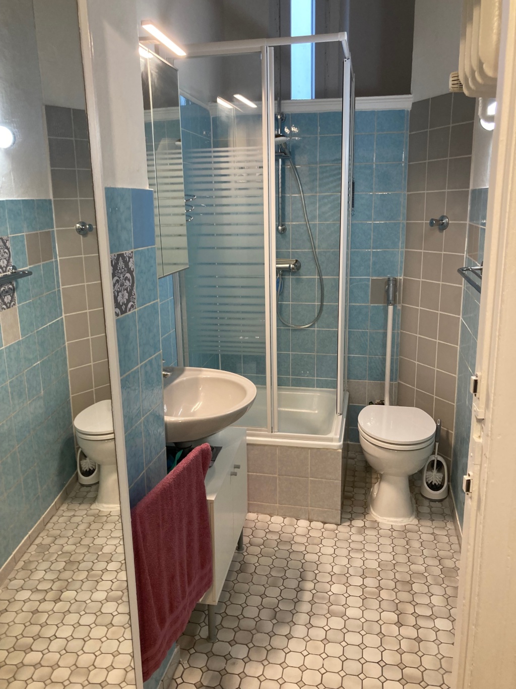 Flat Steglitz Schöneberger Straße - WC mit Dusche
