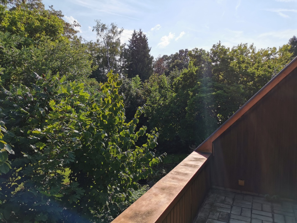 Zwei Zimmer frei! in 7-Zimmer-WG in Villa direkt am Park Rosenhöhe. Zimmer 6 20m2 mit Südbalkon 525€ + Nebenkosten. Zimmer 5 14m2 440€ + Nebenkosten – 64287 Darmstadt Rosenhöhe – Vorschaubild 19