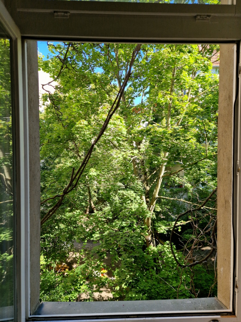 Wohnung Prenzlauer Berg Schliemannstraße 45 - Bild 14