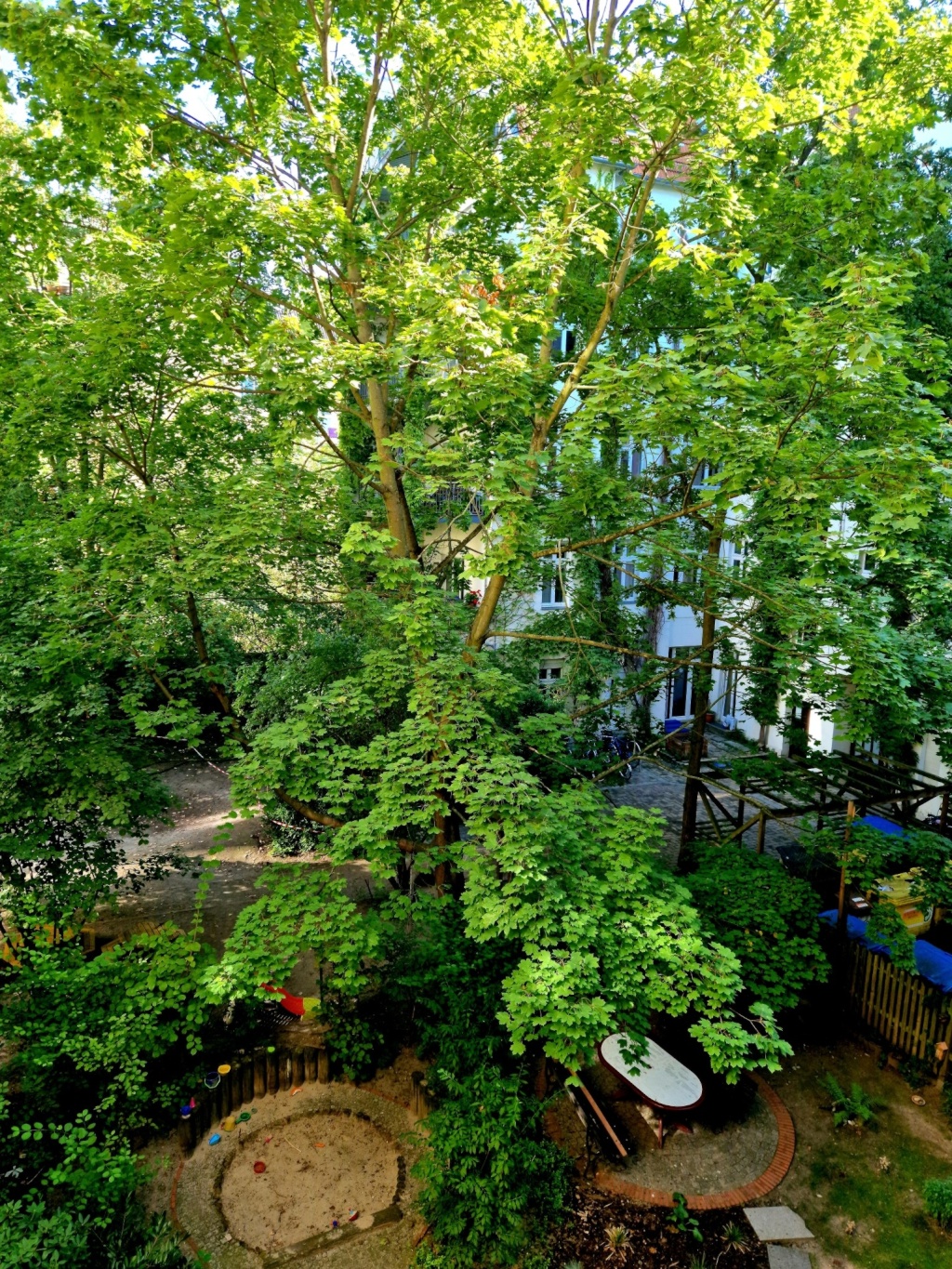 Wohnung Prenzlauer Berg Schliemannstraße 45 - Blick aus dem Küchenfenster
