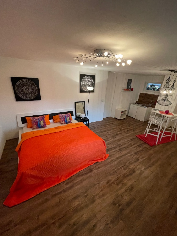 Großes möbliertes 1 Zi Appartement 1ZimmerWohnung in RegensburgOberer wöhrd