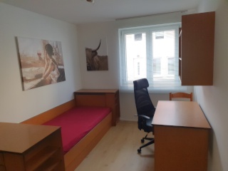 Ad image: Student Apartment in Uni-Nähe