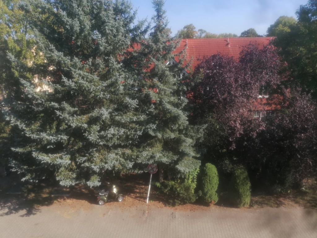WG-Zimmer Tempelhof-Schöneberg Alt Lichtenrade  C - Bild 1