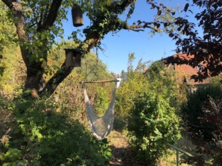 Ad image: Wunderschöne möblierte 4 Zimmer-Wohnnung mit 1 Balkon und Gemeinschaftsgarten  - WG geeignet