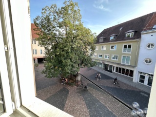 Ad image: Rental in Freiburg Downtown