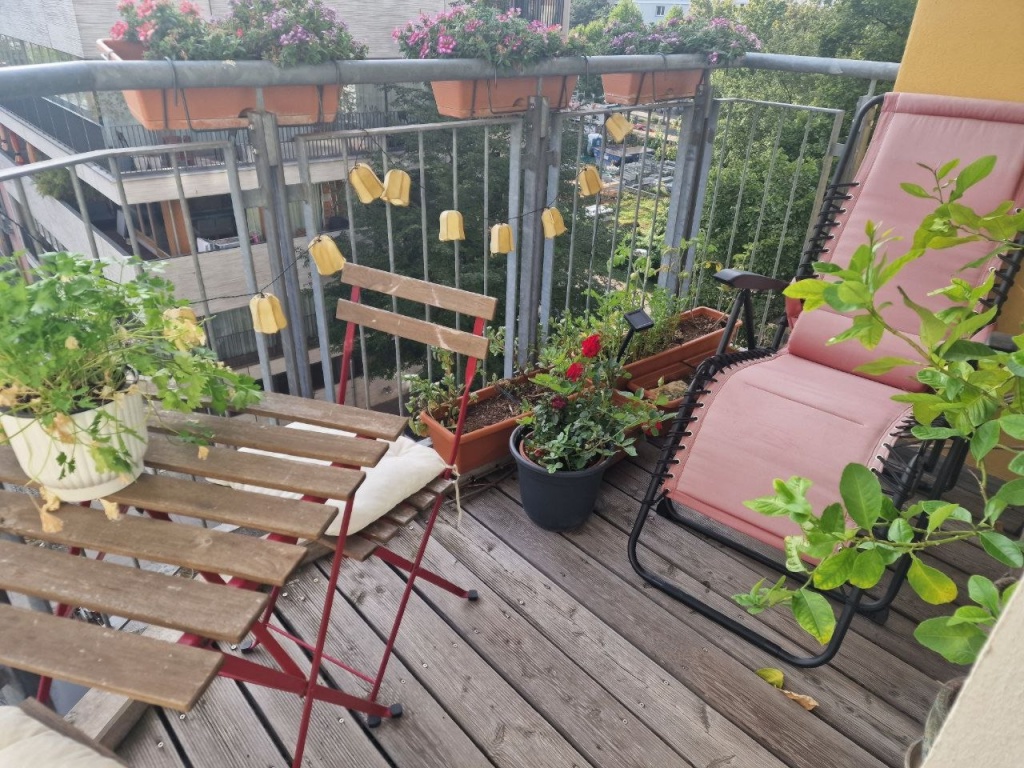 Spacious and bright apartment at the best location! (Mitte / Prenzlauer Berg) – Ruppiner Str, 10115 Berlin Mitte – Vorschaubild 13