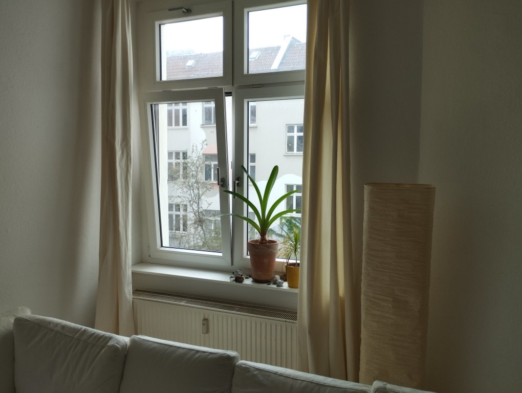 1 Room Flat Friedrichshain Rigaer Str. 102 - Wohnzimmerfenster