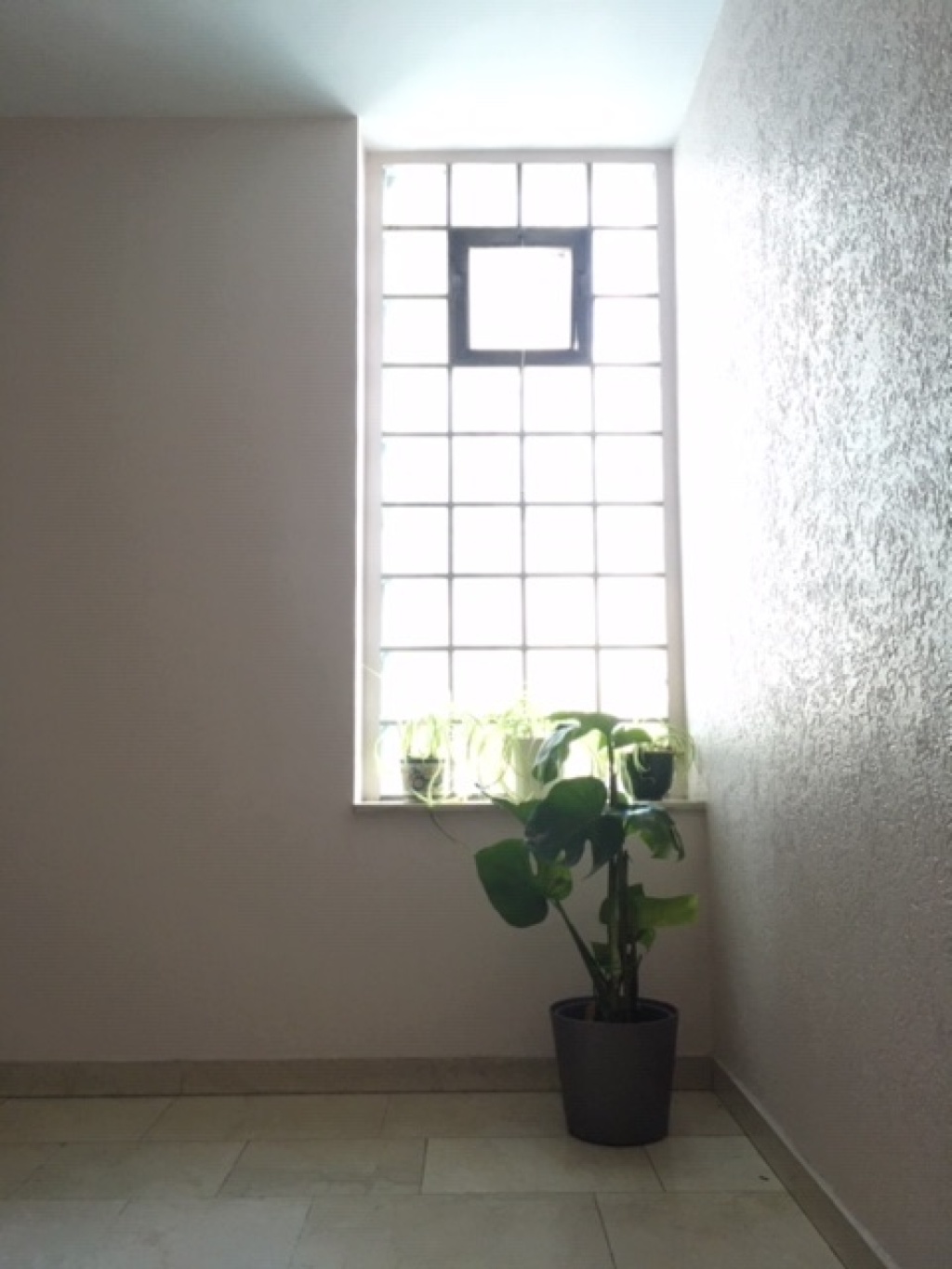 1 Room Flat Sossenheim Renneroder Str. 22 - picture 16