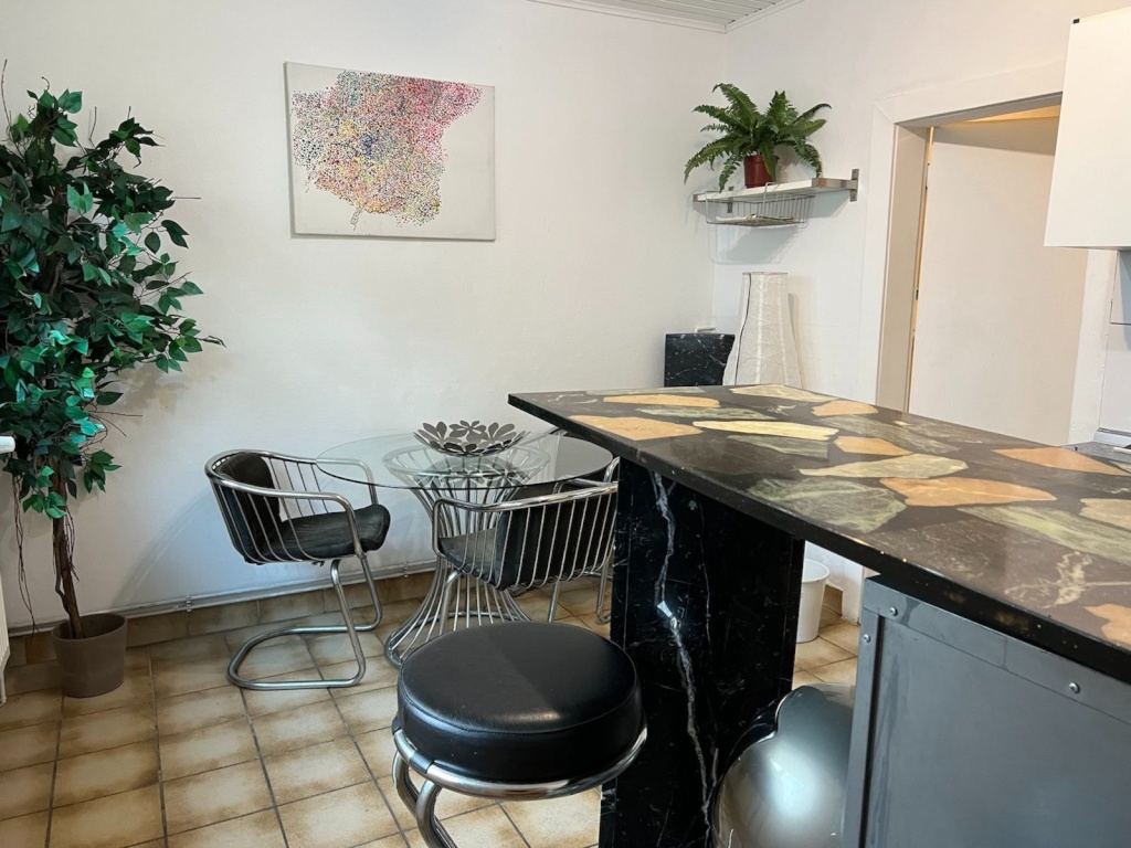 Traum-Oase/Haus für 2 Personen/möbliert, am Rhein – Altstr, 51063 Köln Mülheim – Vorschaubild 5