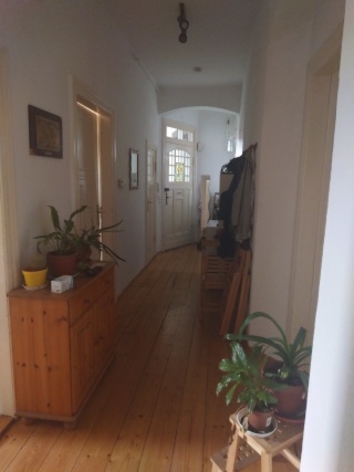Ad image: 4er WG in Stadtfeld Ost