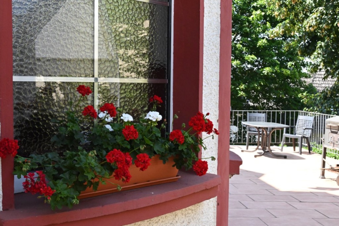 Habitación en WG Zentrum Licher Straße 49 - Terrasse