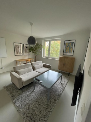 Ad image: STUNNING APARTMENT CLOSE TO THE RIVER