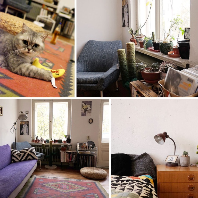 September, great location, CAT LOVERS 🐱🐱