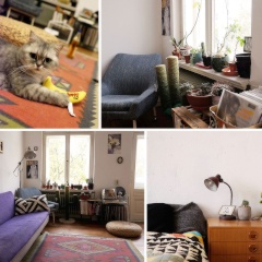 September, great location,  CAT LOVERS 🐱🐱 — photo 1