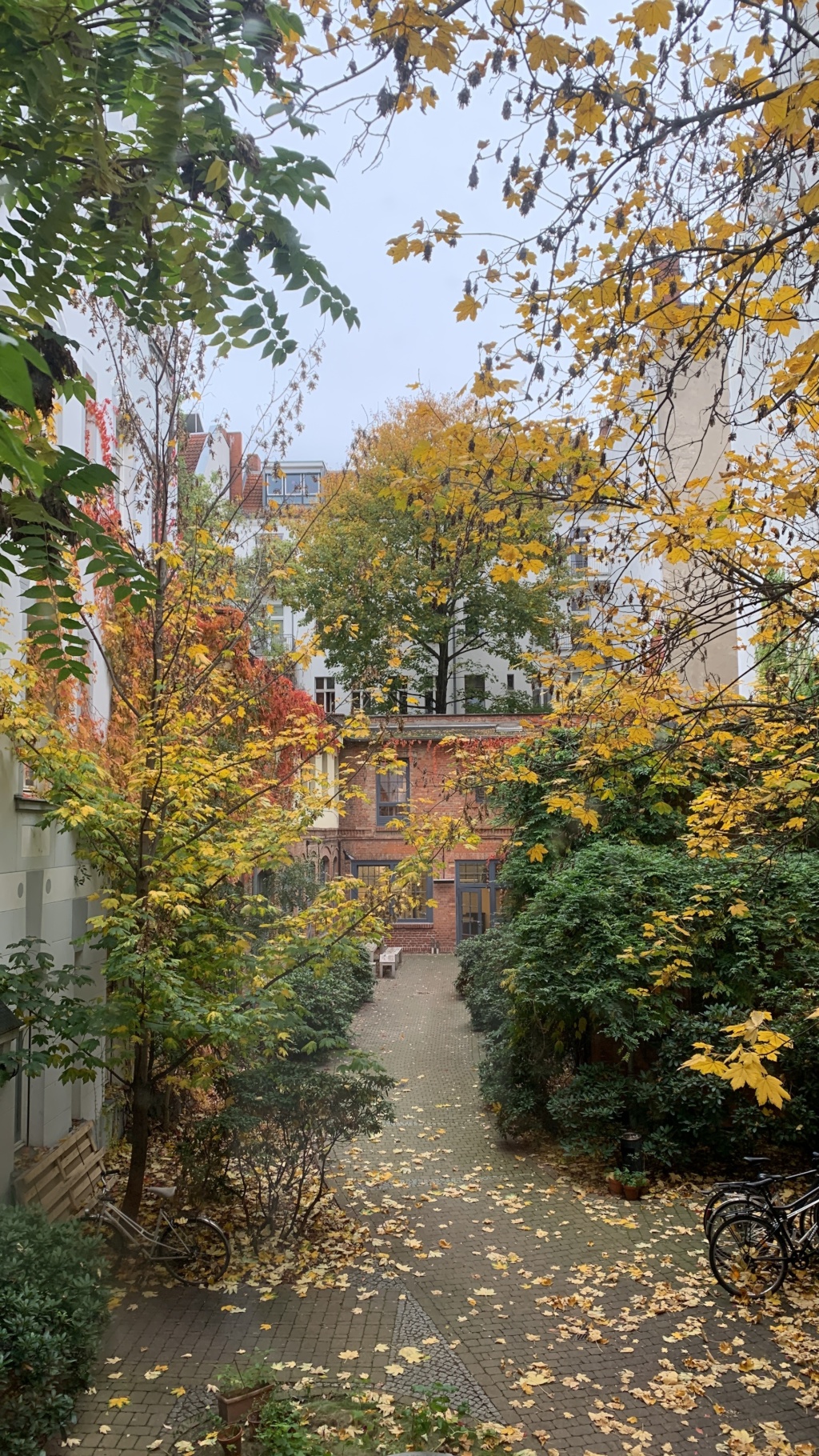 sonniges obergeschoss sunny top floor – Pappelallee 10, 10437 Berlin Prenzlauer Berg – Vorschaubild 11