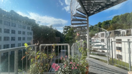 Kurzzeitmiete vom 19.08-22.09  Eine schöne, helle Wohnung mit Gartenblick 2-Zimmer  im Ring — photo 1