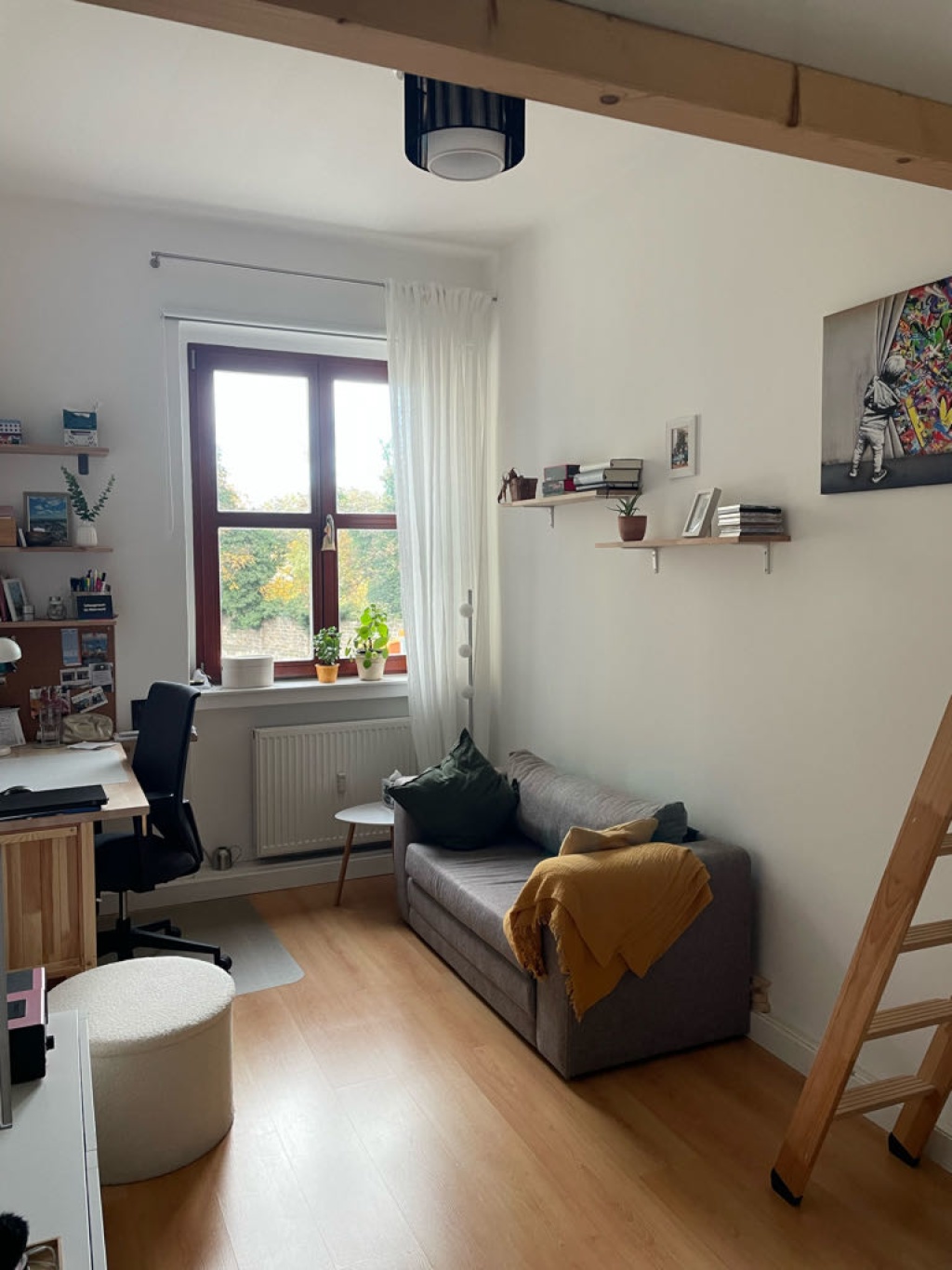 WG-Zimmer Seevorstadt-Ost/Großer Garten August-Bebel-Str. - Bild 1