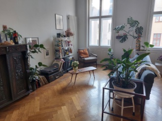Anzeigenbild: Vermietet  4.Aug - 15.Aug (440 Euro) Wien Währing - helle gemütliche Wohnung / bright and quiet 63m2 appartment in Vienna