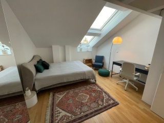 WG room with rooftop terrace, 20 m², Alsergrund, Alsergrund