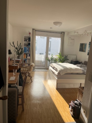 Imagen del anuncio: 1-Zimmer-Wohnung mit Balkon + EBK im Neubau mit Blick in den Schwarzwald