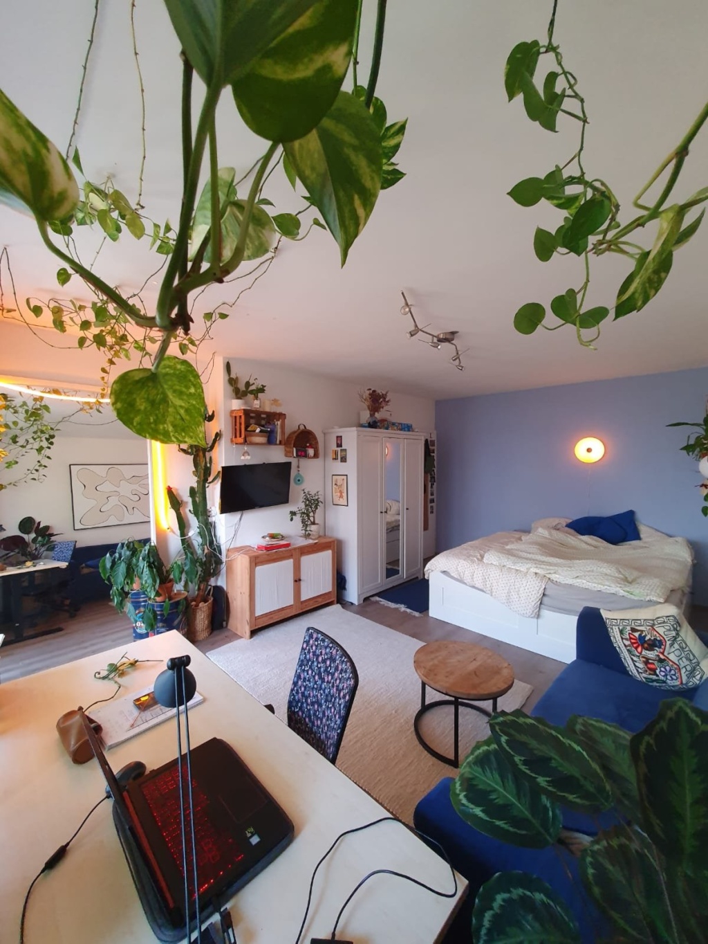 Habitación en WG Südweststadt Michaelstraße - WG Zimmer <3 Blick aus der letzten Ecke