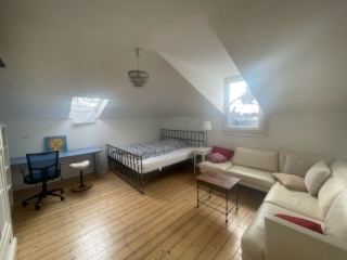 Anzeigenbild: Schönes Dachgeschosszimmer mit großer Wohn-Küche und angrenzende Dachterrasse