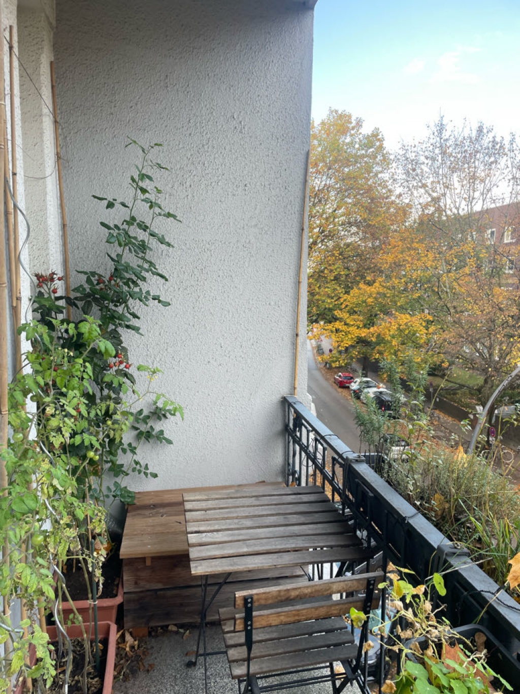 Flat Winterhude Alsterdorfer Straße 113 - Balkon
