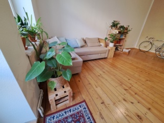 Altbau Traumwohnung mit 2 Zimmer und Balkon — photo 1