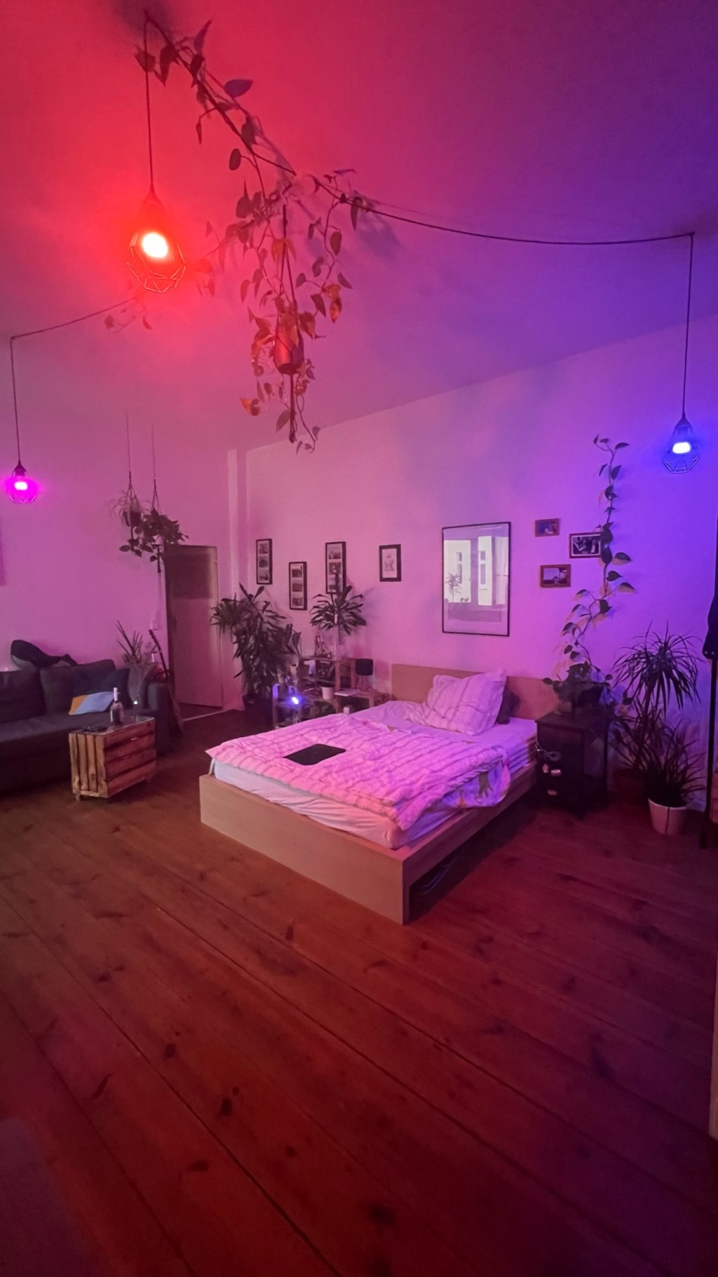 Gemütliche 1-Zimmer-Wohnung im Prenzlauer Berg | Cozy 1-room-apartment in Prenzlauer Berg (ZWISCHENMIETE | SHORT TERM RENTAL)