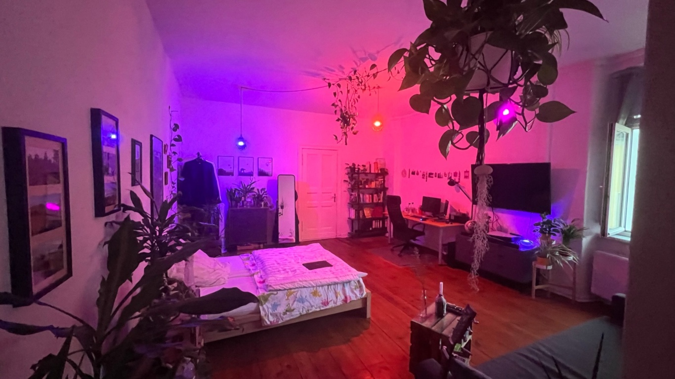 Gemütliche 1-Zimmer-Wohnung im Prenzlauer Berg | Cozy 1-room-apartment in Prenzlauer Berg (ZWISCHENMIETE | SHORT TERM RENTAL) – Driesener Str. 24, 10439 Berlin Prenzlauer Berg – Vorschaubild 2