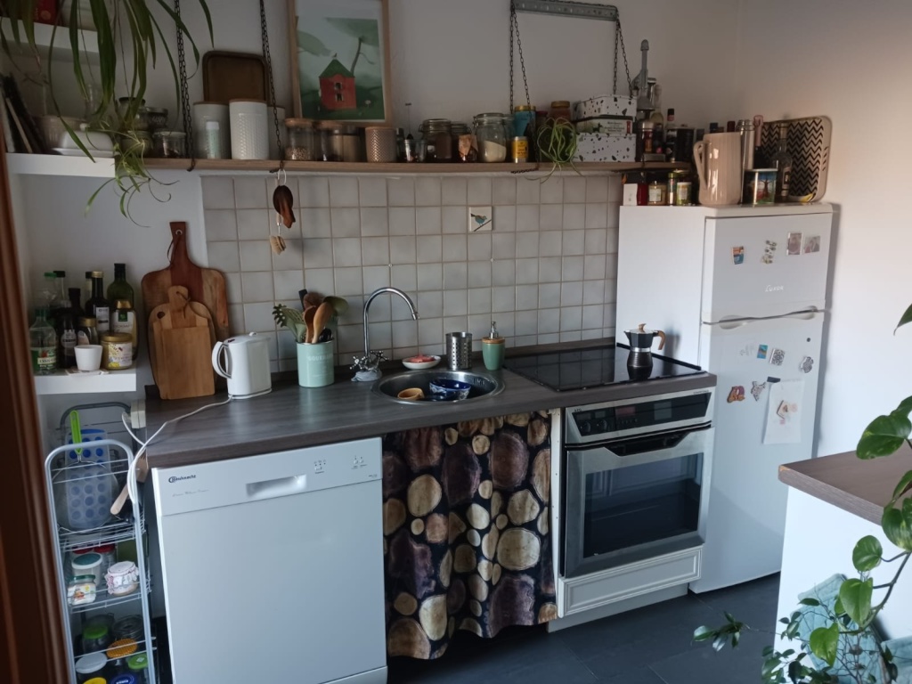 Schöne Dachwohnung mit Sonnenbalkon ! – Dryanerstrasse 8, 6110 Halle (Saale) Halle – Vorschaubild 4