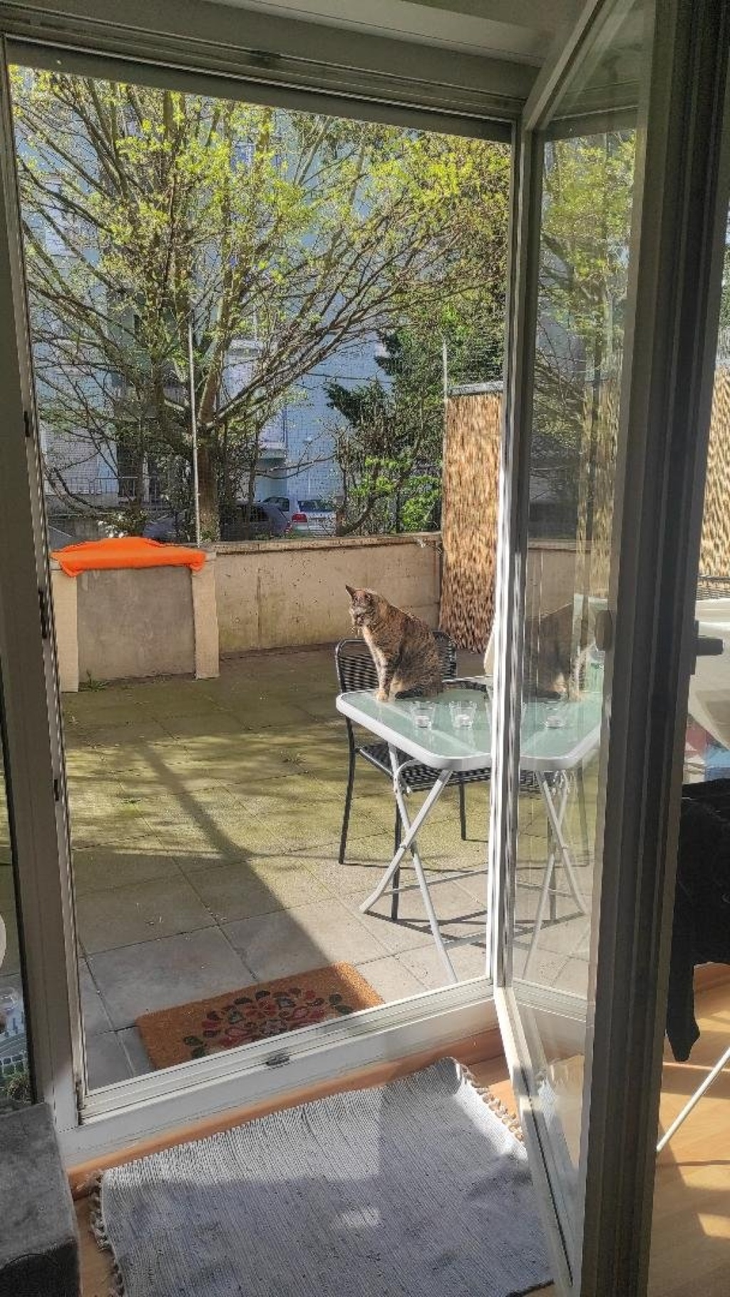 62 m2, möbliert, große Terrasse – Zwischenmiete ab 1.12. – Landgraf-Georg-Str. 66, 64283 Darmstadt Darmstadt – Vorschaubild 19
