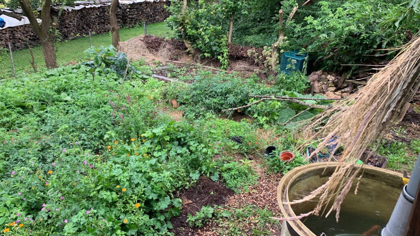 Flatshare Eft Borger Weg - Garten