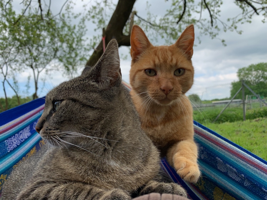 Flatshare Eft Borger Weg - Indra und Gabriel