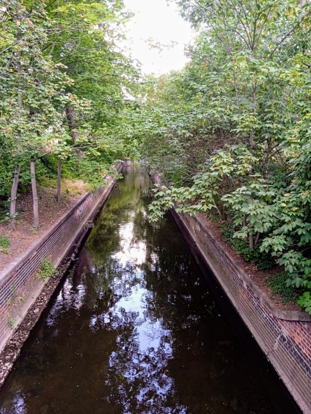 WG-Zimmer Gesundbrunnen Gesundbrunnen - Bild 7