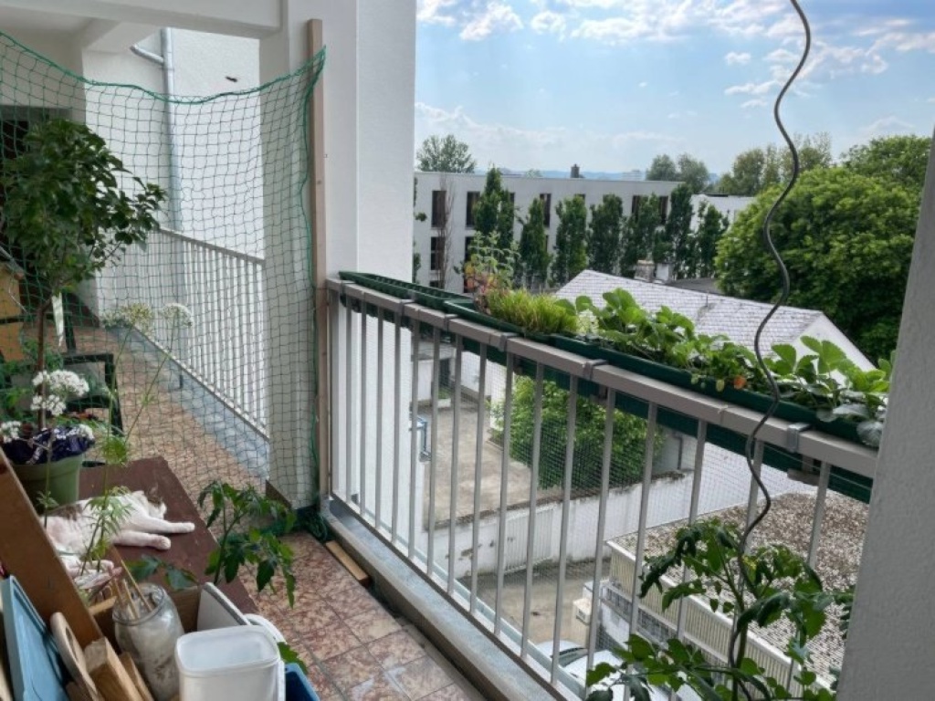 Habitación en WG Bockenheim Ginnheimer Landstraße - Hausflur / Balkon