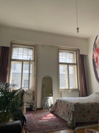 Anzeigenbild: Schönes, großes Zimmer mitten im 8. Bezirk